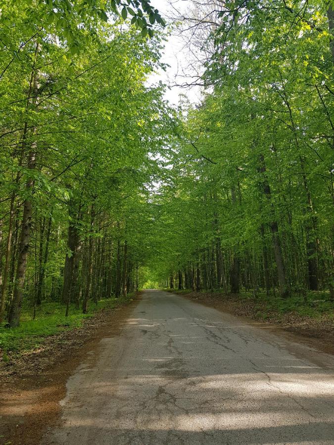 Serce Nieznanego Boru Lipiny  Luaran gambar